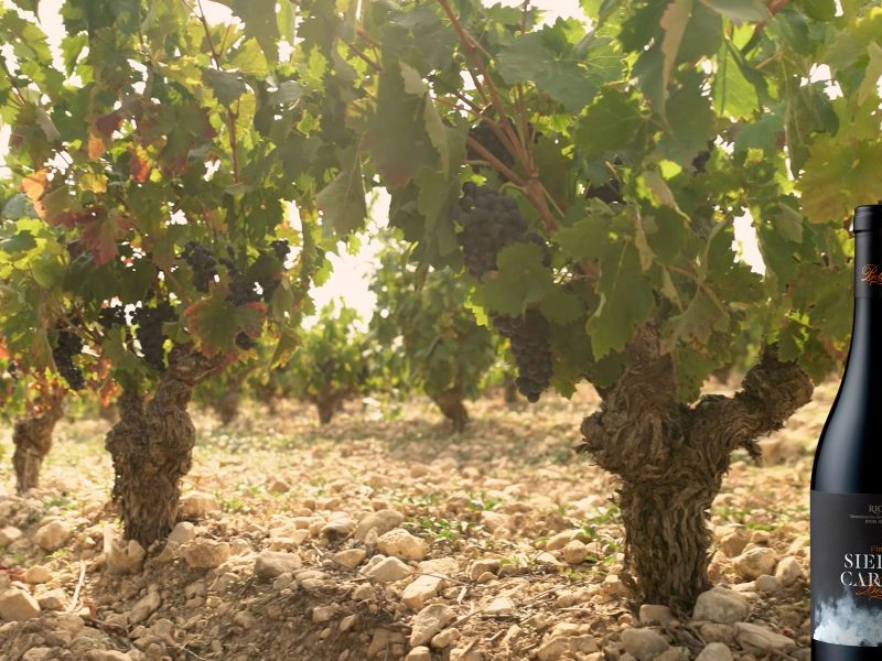 FINCA SIERRA CARBÓN